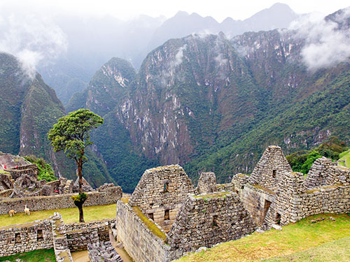 Machu Picchu